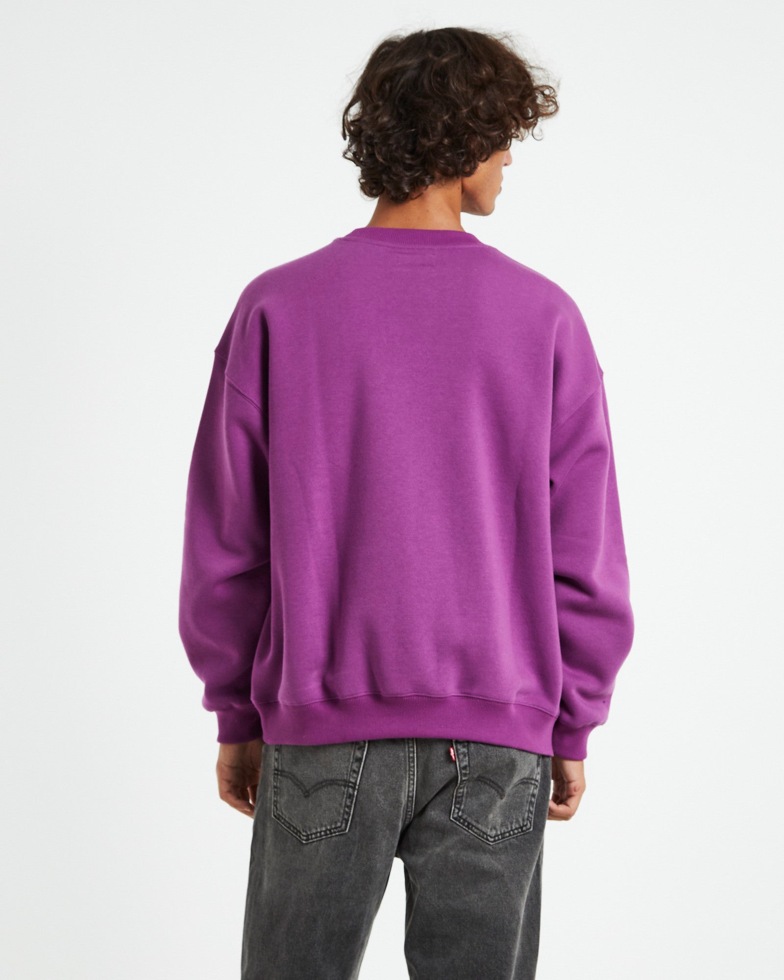 International Crew Neck Grape Purple PURPLE
