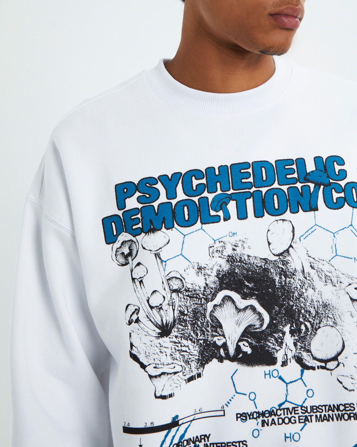 Psych Rev Crewneck Jumper White WHITE